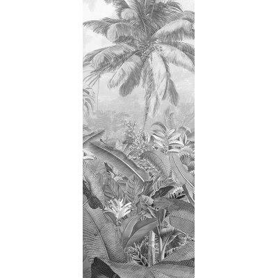 Tapeten Komar P013-VD1 Fototapeten Vlies  - Amazonia Black and White Panel  - Größe 100 x 250 cm