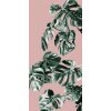 Tapeten Komar P016-VD4 Fototapeten Vlies  - Monstera Rosé - Größe 400 x 250 cm