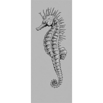 Tapeten Komar P082-VD1 Fototapeten Vlies  - Seahorse Panel - Größe 100 x 250 cm