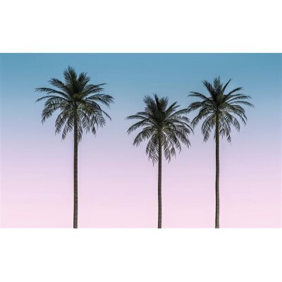 Tapeten Komar P124-VD4 Fototapeten Vlies  - Skyhigh - Größe 400 x 250 cm