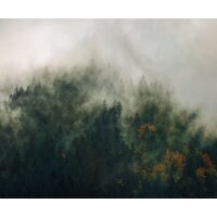 Tapeten Komar PSH036-VD3 Fototapeten Vlies  - Tales of the Carpathians - Größe 300 x 250 cm