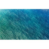 Tapeten Komar PSH096-VD4 Fototapeten Vlies  - Blaupause - Größe 400 x 250 cm