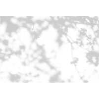 AS Digital Wandbilder Walls by Patel 3  light room 1