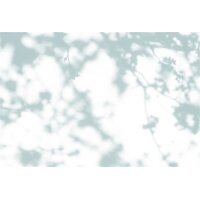 AS Digital Wandbilder Walls by Patel 3  light room 2