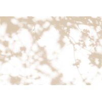 AS Digital Wandbilder Walls by Patel 3  light room 3