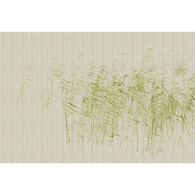 AS Digital Wandbilder Walls by Patel 3  at the pond 1