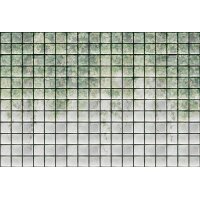 AS Digital Wandbilder Walls by Patel 3  greenhouse 2