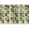 AS Digital Wandbilder Walls by Patel 3  plant shop 2