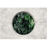 AS Digital Wandbilder Walls by Patel 3  deep green 1