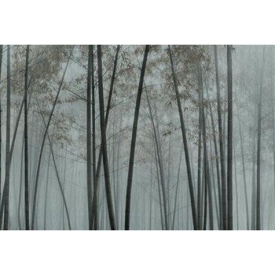 AS Digital Wandbilder Walls by Patel 3  in the bamboo1