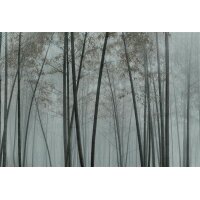 AS Digital Wandbilder Walls by Patel 3  in the bamboo1