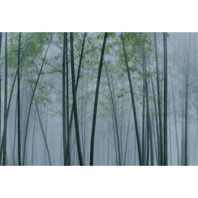 AS Digital Wandbilder Walls by Patel 3  in the bamboo2