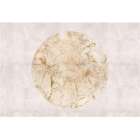 AS Digital Wandbilder Walls by Patel 3  venus 2