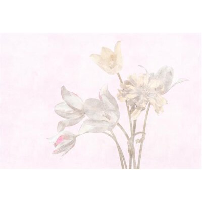 AS Digital Wandbilder Walls by Patel 3  morning room 1