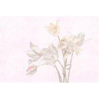 AS Digital Wandbilder Walls by Patel 3  morning room 1