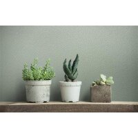 Marburg Ivy 82311 Vliestapete