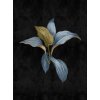 AS Digital Wandbilder Walls by Patel 3 DD122510 fiji 3 2,00 m x 2,70 m Strukturvlies