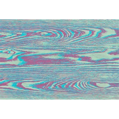 AS Digital Wandbilder Walls by Patel 3  bounty 2