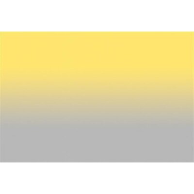 AS Digital Wandbilder Walls by Patel 3  colour studio1