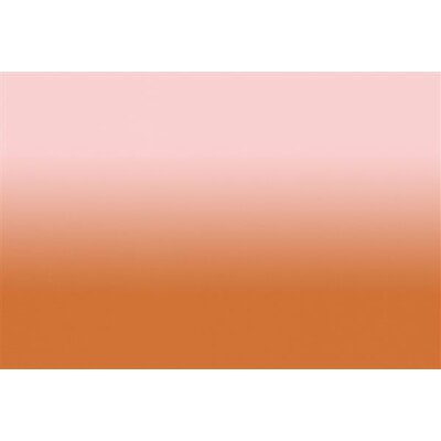 AS Digital Wandbilder Walls by Patel 3 DD122673 colour studio4 4,00 m  x 2,70 m 130 g Vlies matt