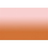 AS Digital Wandbilder Walls by Patel 3 DD122675 colour studio4 4,00 m  x 2,70 m Mica