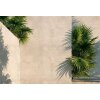 AS Digital Wandbilder Walls by Patel 3 DD122837 tunis 1 4,00 m  x 2,70 m 130 g Vlies matt