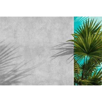 AS Digital Wandbilder Walls by Patel 3 DD122843 tunis 2 4,00 m  x 2,70 m Mica