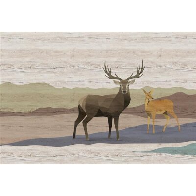 AS Digital Wandbilder Walls by Patel 3 DD122899 yukon 2 4,00 m  x 2,70 m Mica