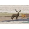 AS Digital Wandbilder Walls by Patel 3 DD122899 yukon 2 4,00 m  x 2,70 m Mica