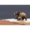 AS Digital Wandbilder Walls by Patel 3 DD122903 yukon 3 4,00 m  x 2,70 m Mica