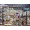 AS Digital Wandbilder Designwalls 2 DD123712 ArtOnWall      3,5 x 2,55 m 170 g/m² Glattvlies Profi