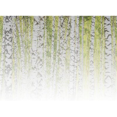 AS Digital Wandbilder Designwalls 2 DD123528 BirchForest2   3,5 x 2,55 m 170 g/m² Glattvlies Profi