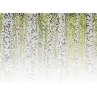 AS Digital Wandbilder Designwalls 2 DD123528 BirchForest2   3,5 x 2,55 m 170 g/m² Glattvlies Profi