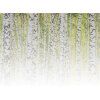 AS Digital Wandbilder Designwalls 2 DD123857 BirchForest2   0,9 x 0,6 m 270 g/m² Canvas