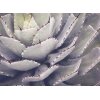 AS Digital Wandbilder Designwalls 2 DD123910 Cactusplant    0,9 x 0,6 m 270 g/m² Canvas