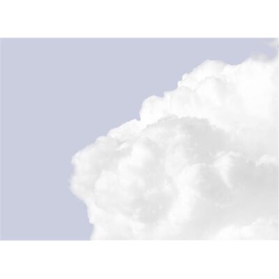 AS Digital Wandbilder Designwalls 2 DD123530 Clouds1        3,5 x 2,55 m 170 g/m² Glattvlies Profi