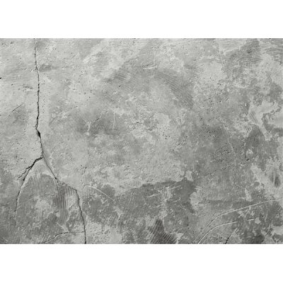 AS Digital Wandbilder Designwalls 2  ConcreteLook