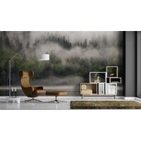 AS Digital Wandbilder Designwalls 2 DD123522 Fiordlands     3,5 x 2,55 m 170 g/m² Glattvlies Profi