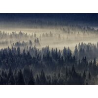 AS Digital Wandbilder Designwalls 2 DD123855 ForestInFog    0,9 x 0,6 m 270 g/m² Canvas