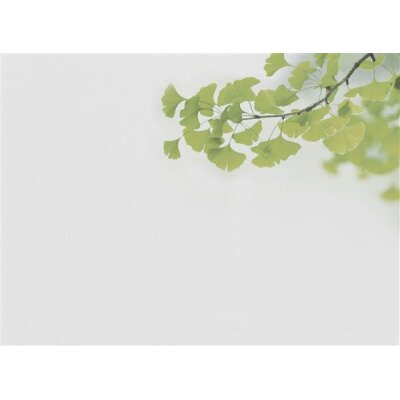 AS Digital Wandbilder Designwalls 2 DD123828 Ginkgo1        0,9 x 0,6 m 270 g/m² Canvas