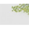 AS Digital Wandbilder Designwalls 2 DD123828 Ginkgo1        0,9 x 0,6 m 270 g/m² Canvas