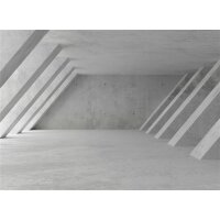 AS Digital Wandbilder Designwalls 2 DD123865 GreyHall       0,9 x 0,6 m 270 g/m² Canvas
