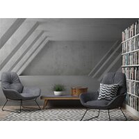 AS Digital Wandbilder Designwalls 2 DD123865 GreyHall       0,9 x 0,6 m 270 g/m² Canvas