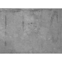 AS Digital Wandbilder Designwalls 2 DD123632 GreyWall2      3,5 x 2,55 m 170 g/m² Glattvlies Profi