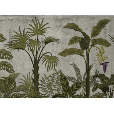 AS Digital Wandbilder Designwalls 2 DD123498 JungleConcret1 3,5 x 2,55 m 170 g/m² Glattvlies Profi
