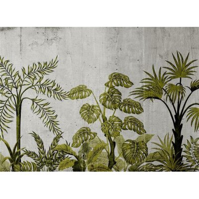 AS Digital Wandbilder Designwalls 2 DD123500 JungleConcret2 3,5 x 2,55 m 170 g/m² Glattvlies Profi