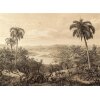 AS Digital Wandbilder Designwalls 2 DD123845 Jungle Vintage   0,9 x 0,6 m 270 g/m² Canvas