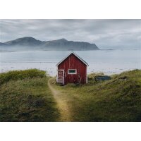 AS Digital Wandbilder Designwalls 2 DD123820 NordicCottage  3,5 x 2,55 m 170 g/m² Glattvlies Profi