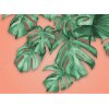 AS Digital Wandbilder Designwalls 2  PalmOrange