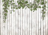 AS Digital Wandbilder Designwalls 2  Wood&Leaves